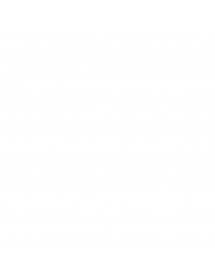 Prise d'air capot "Viper"...